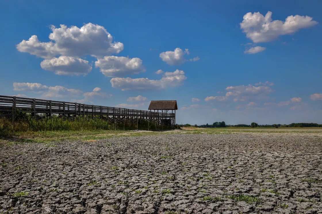 Csak két nap választ el minket a Mad Maxtől