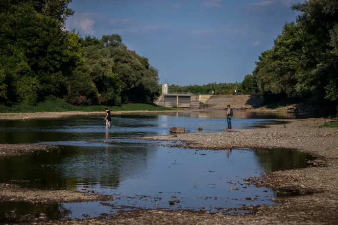 A szinte teljesen kiszáradt Körös 2022 augusztusában, a Szarvas és Békésszentandrás között található duzzasztómű alatti szakaszon – Fotó: Huszti István / Telex