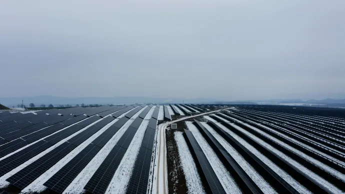 40 hektáron termeli a zöld energiát – Fotó: Telex.hu