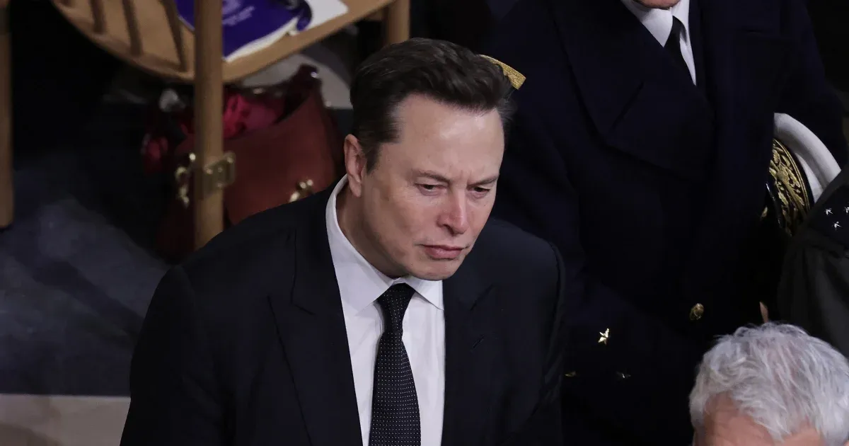 Elon Musk letette a garast a szélsőjobbos AfD mellett