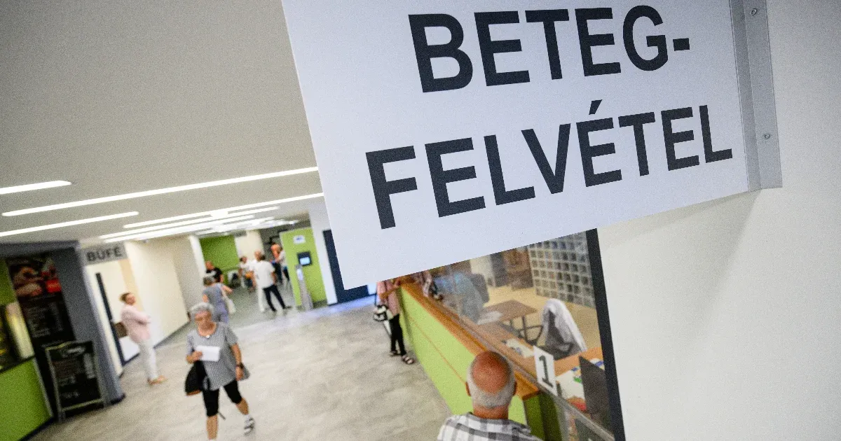 Egy cég 300 milliárdért takaríthatja majd a kórházakat