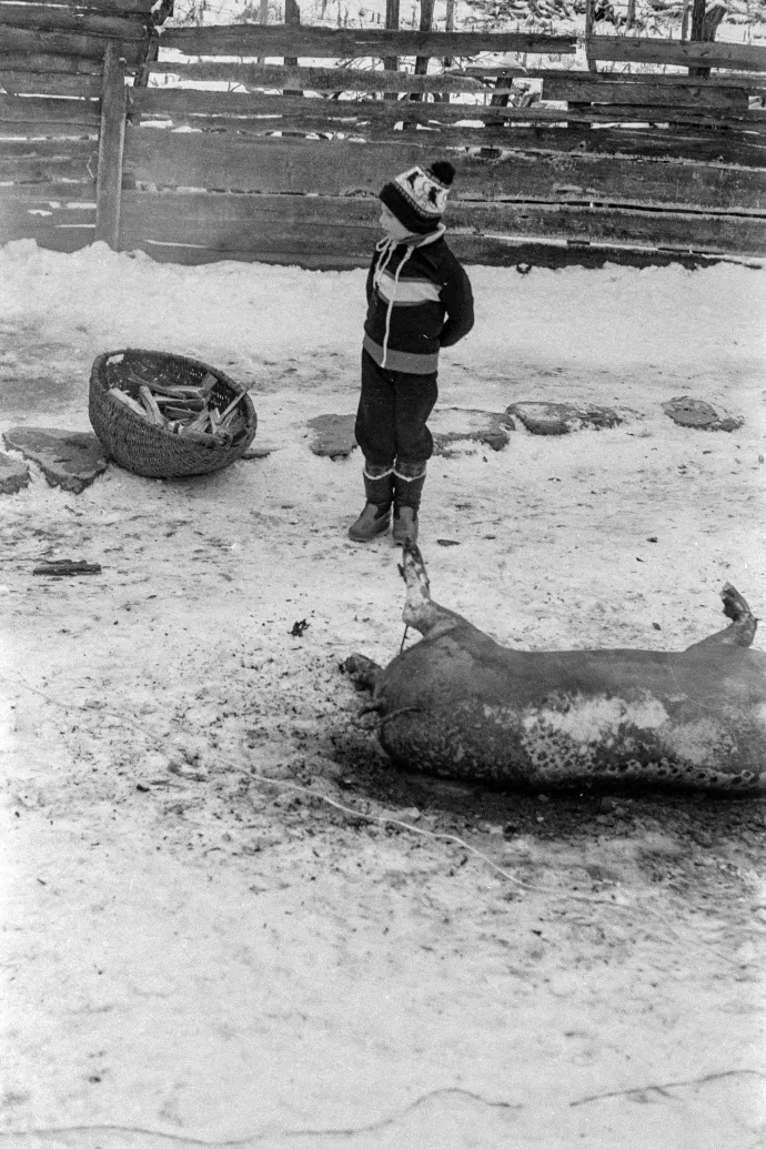 Havadtő, 1983 – Fotó: Kovács Károly / Azopan Fotóarchívum