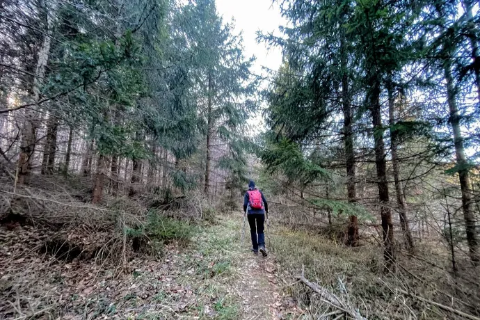 A fenyves, a síház, a fennsík és a cél – Fotó: Tenczer Gábor / Telex