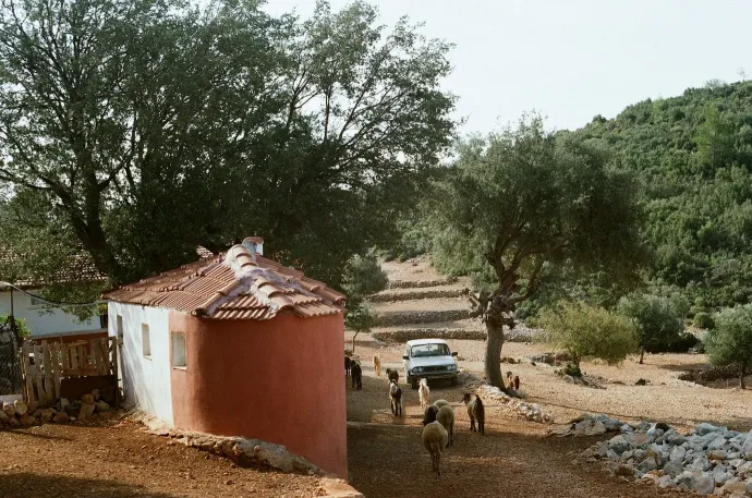 Fotó: Bakó Júlia és Csurgó Dénes / Telex