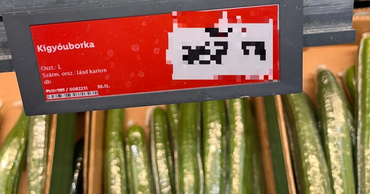Aki hallja, adja át: Ledobta a Lidl az év végi akcióbombát az uborkára