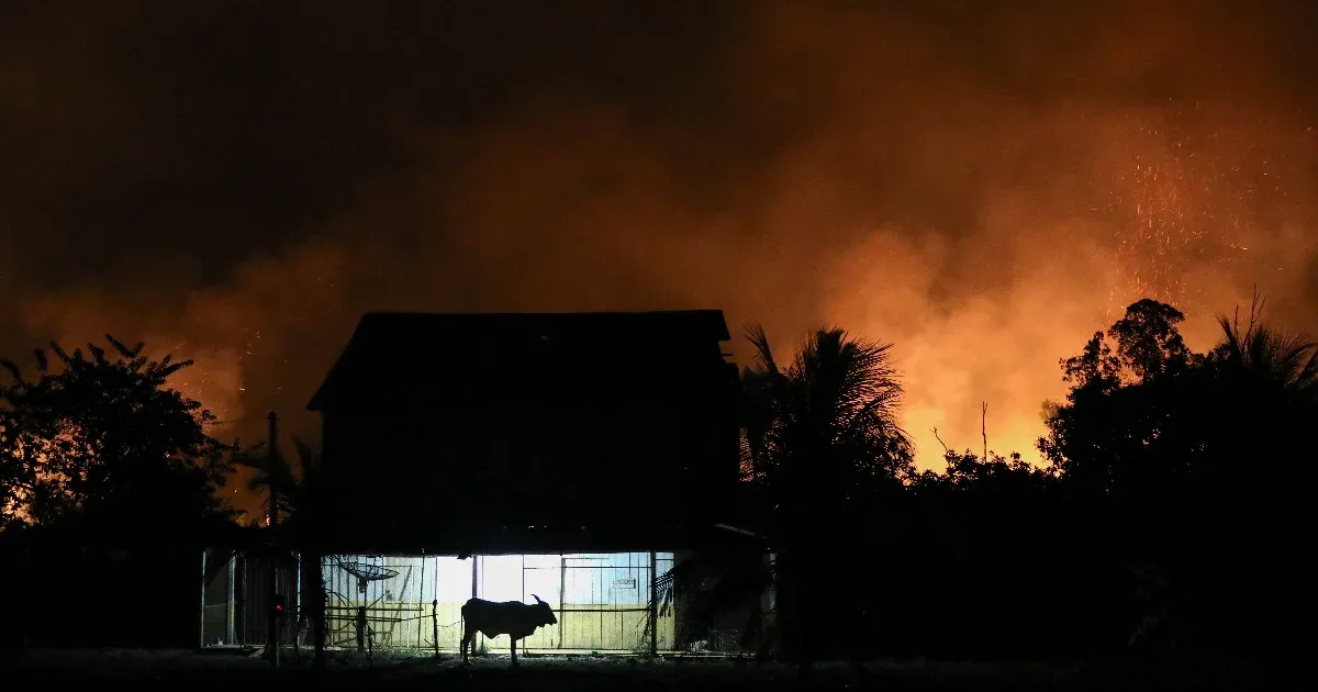 17 éve nem volt ennyi erdőtűz a brazil esőerdőben