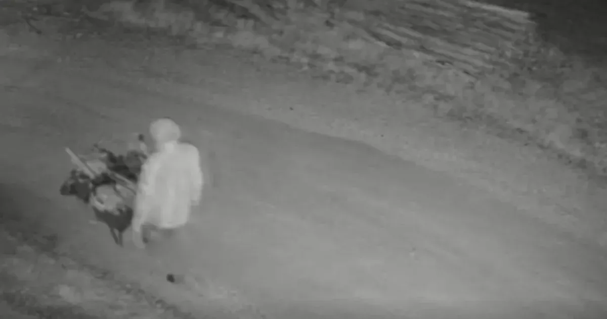 Talicskával loptak el tíz motoros láncfűrészt karácsony éjjel egy zirci telepről