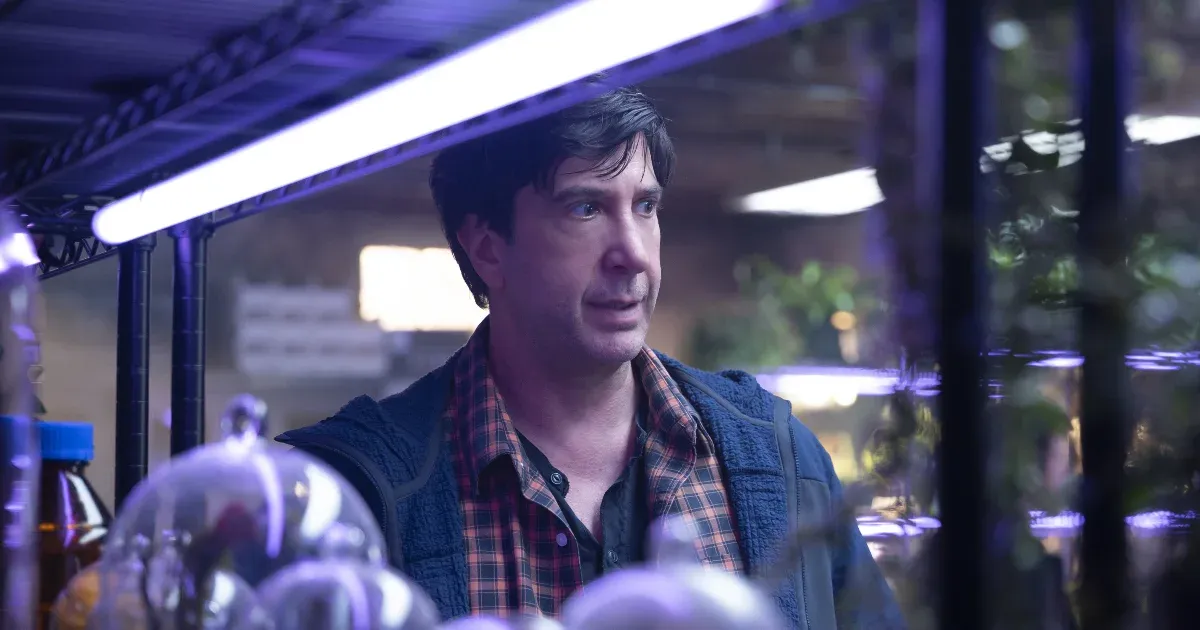 David Schwimmer pincéje tiltott terület