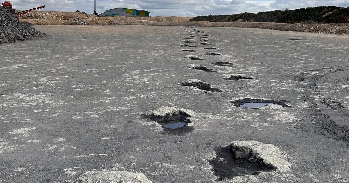 166 millió éves dinoszaurusz lábnyomokat tártak fel Angliában