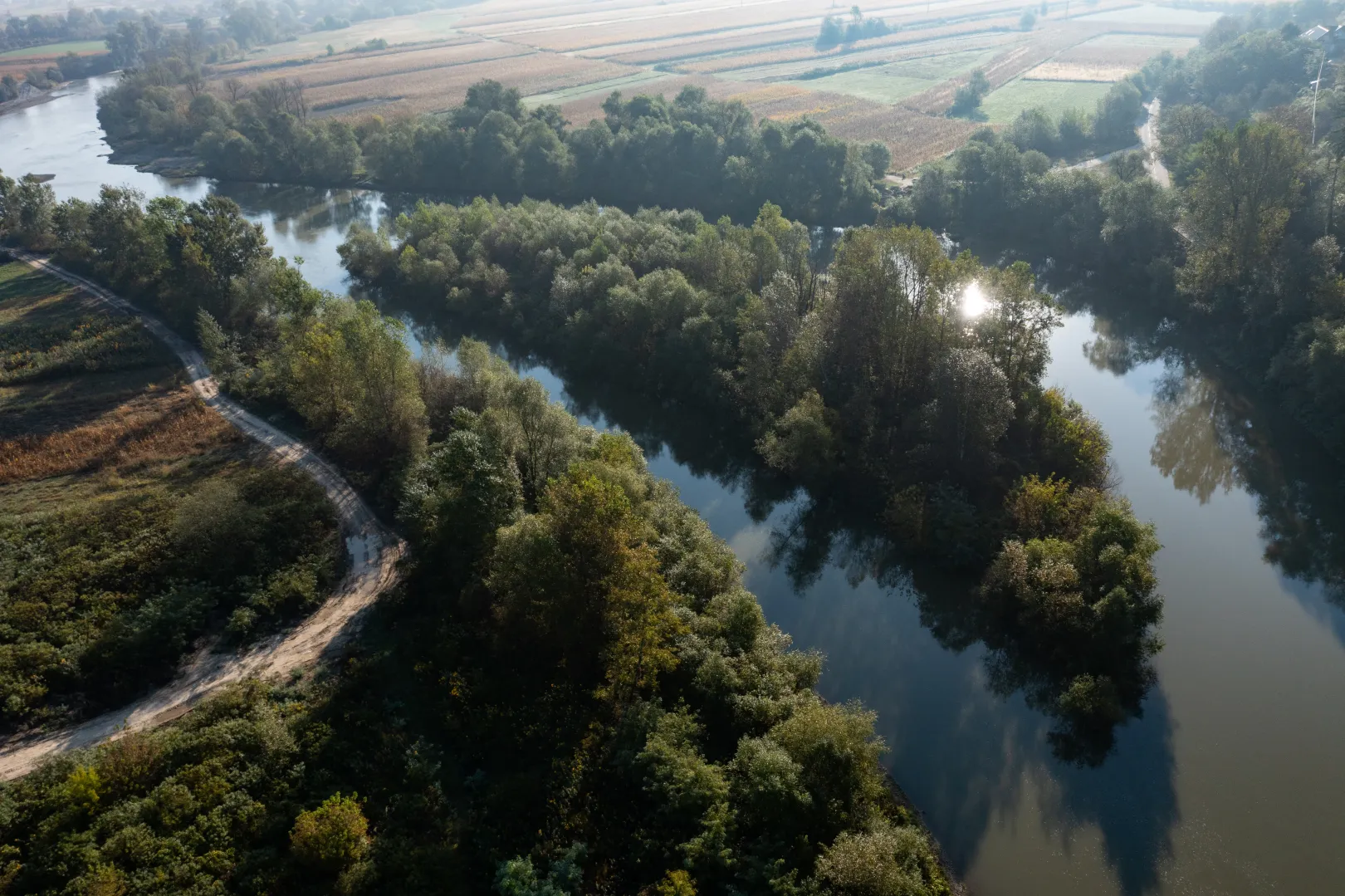 A sziget a Szamoson Közfalunál, amit lehet, hogy megmentettünk – Fotó: Szilágyi-Palkó Pál / Transtelex