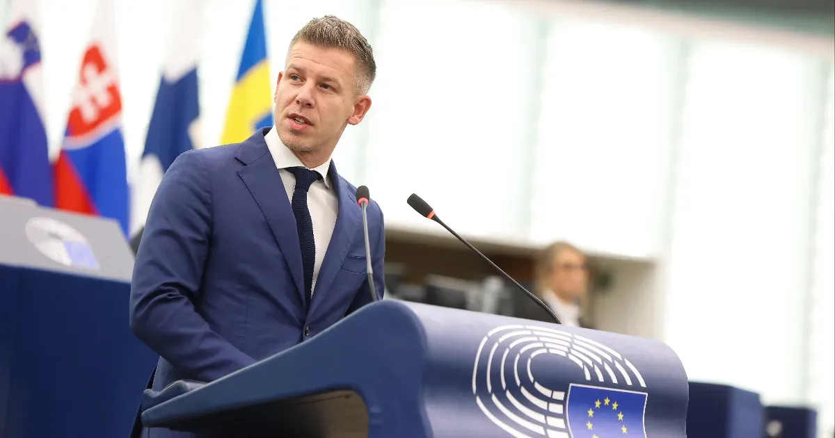 Először volt napirenden Magyar Péter két mentelmi ügye az EP szakbizottságában