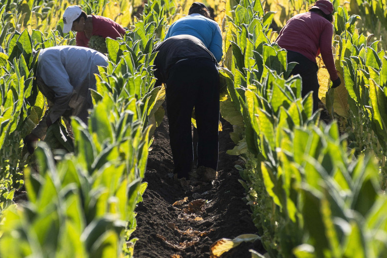 Mosolygósnak mondják a filippínó vendégmunkásokat, de sokuk lesz depressziós Magyarországon