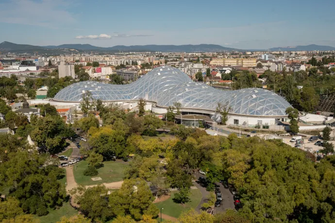 Kihasítana a kormány az Állatkert területéből, hogy új cirkuszművészeti központ épülhessen