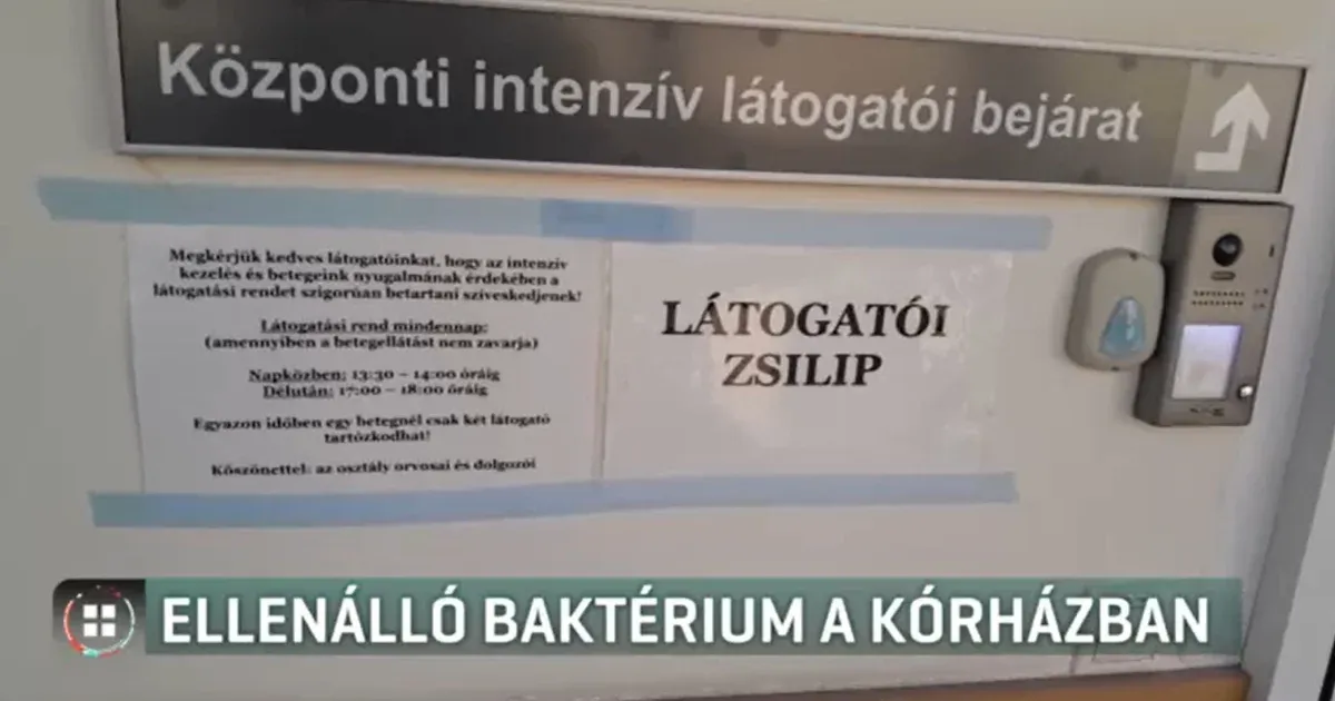 Szuperbaktérium fertőzött meg három beteget az Uzsoki Utcai Kórház intenzív osztályán