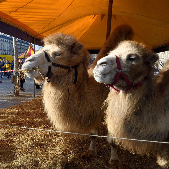 Megugorhat-e idén újra az infláció?