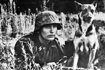 A zsidómentő dánok kokainnal és nyúlvérrel verték át a nácik kutyáit