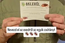 Valentin-napi ajánlat: Nevezz el egy csótányt az exedről!