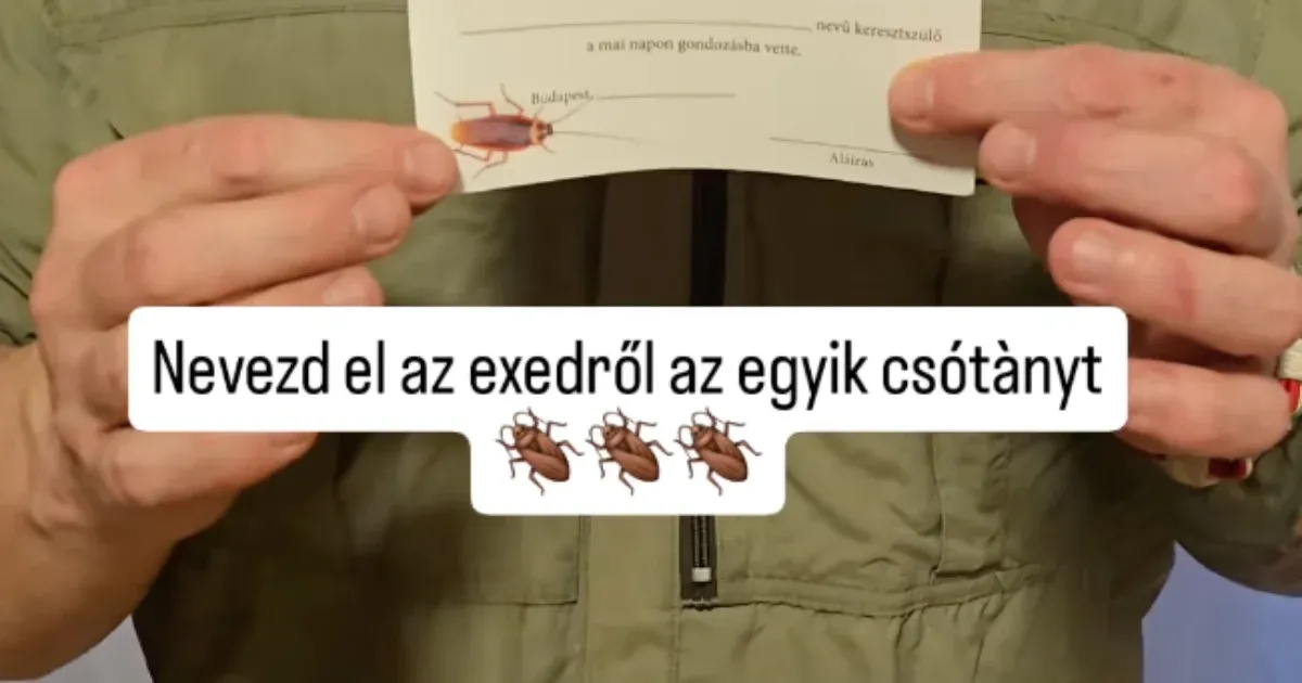 Valentin-napi ajánlat: Nevezz el egy csótányt az exedről!