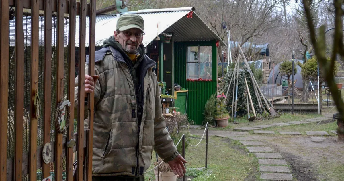 Néhány hét alatt kell felszámolni a soproni kiskerteket a panelek mellett, évtizedek munkája veszik oda