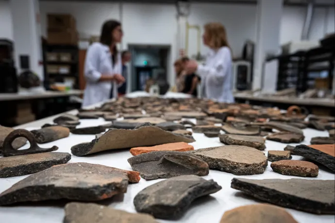 Nemzetközi hekkercsoport támadta meg a Nemzeti Régészeti Intézet szervereit