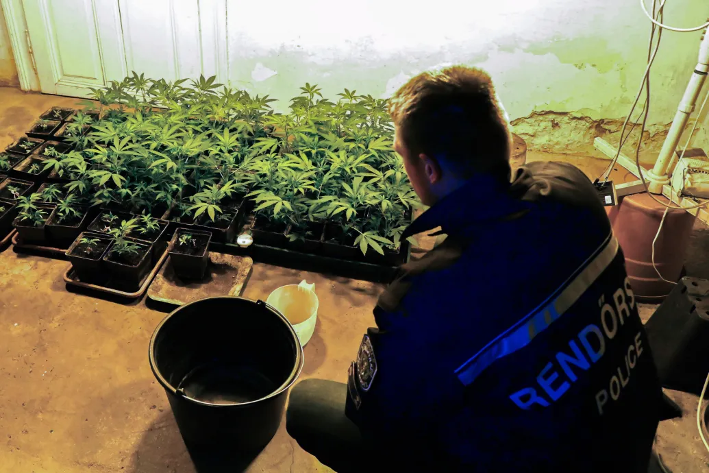 Kannabiszügyben sértett uniós alapelvet a magyar kormány egy bírósági vélemény szerint