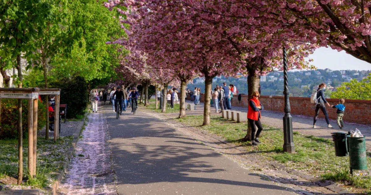 Több órára is kisüthet a nap a tél utolsó napján