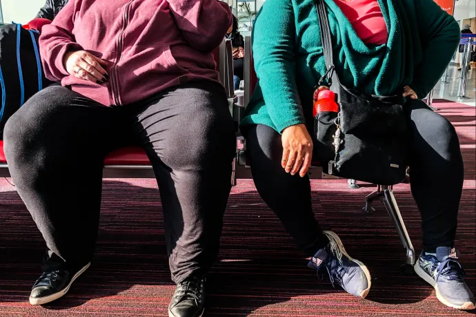 Visszafordítható lehet az elhízás egyik legfontosabb oka