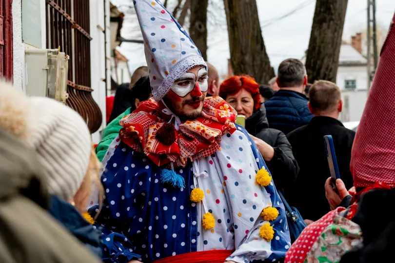 Fotó: Tamás Zsófia / Transtelex