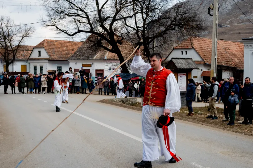 Fotó: Tamás Zsófia / Transtelex