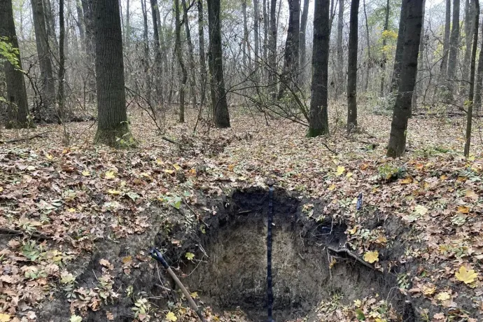 Püspökladányé idén a világ talaja