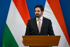 Hungarian ambassador to Bosnia and Herzegovina summoned over State Secretary's statements