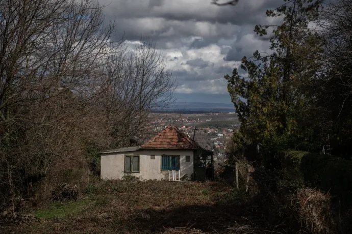 Fotó: Bődey János / Telex