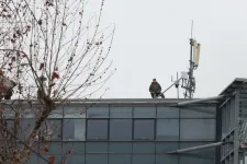 Az épület tetejéről távcsővel figyelik a tömeget