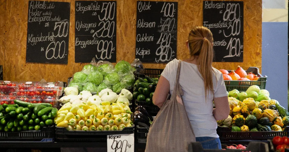 Egy ábrán látszik, milyen egyenlőtlenek a keresetek Magyarországon