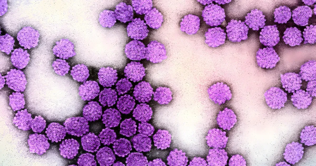 Akár 40 százalékkal is nagyobb lehet a szívbetegség kockázata a HPV-fertőzötteknél