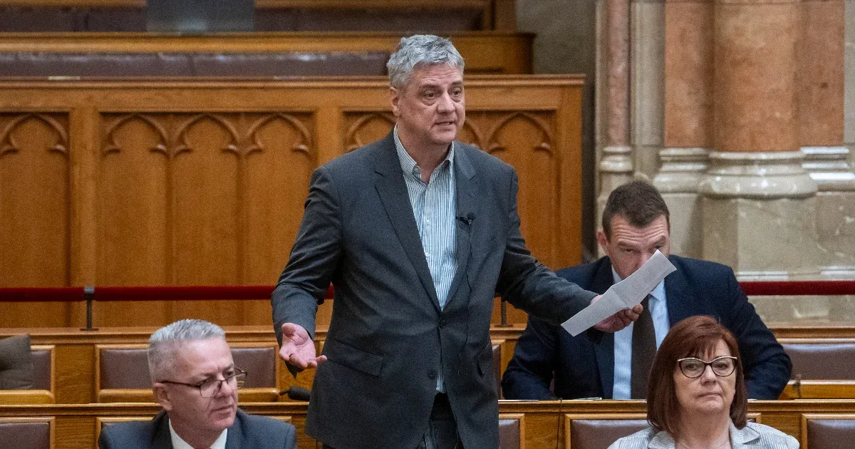 A DK-s Gréczy Zsolt nem lép vissza, versenybe száll jövőre Magyar Péterrel a Hegyvidéken