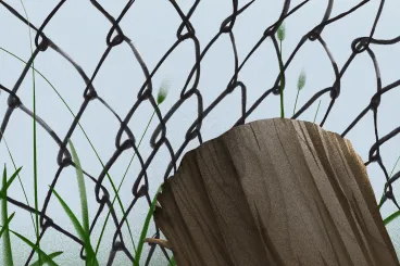 Schillinger Gyöngyvér: Jönnek értem