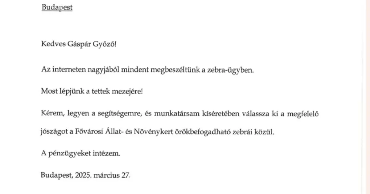 Mindenki megnyugodhat, Győzike döntött arról, melyik zebrát fogadja örökbe Orbán