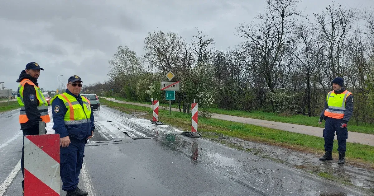 Az eső tartja még életben a fertőzött marhákat Levélen