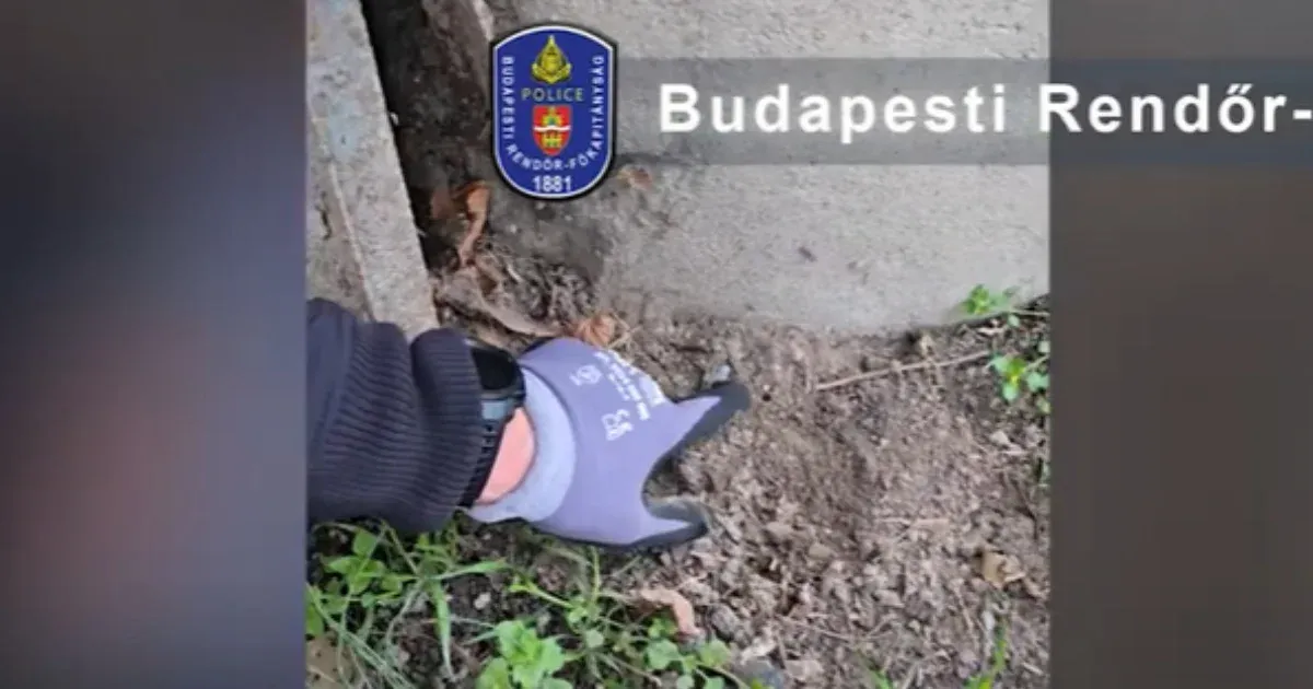 Fényes nappal, a rendőrség épülete előtt, kanállal ásta ki drogátadó pontját egy fiatal