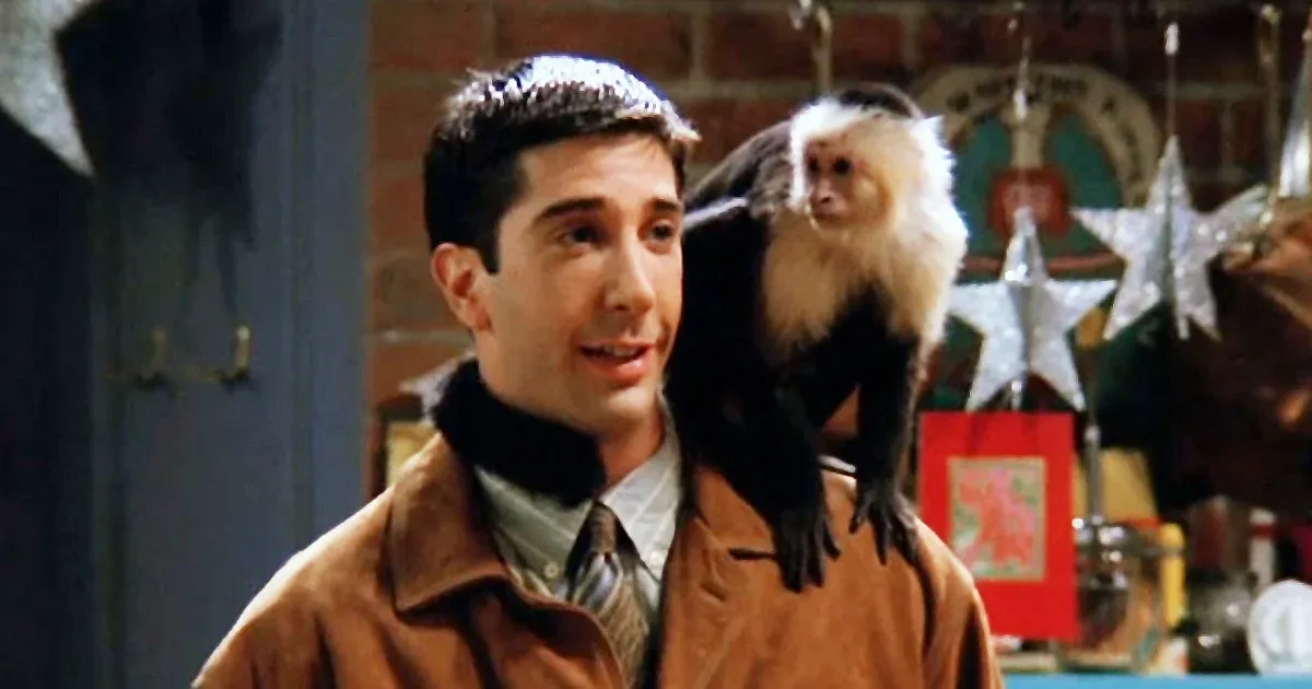David Schwimmer évekig rosszul volt a Jóbarátok főcímdalától