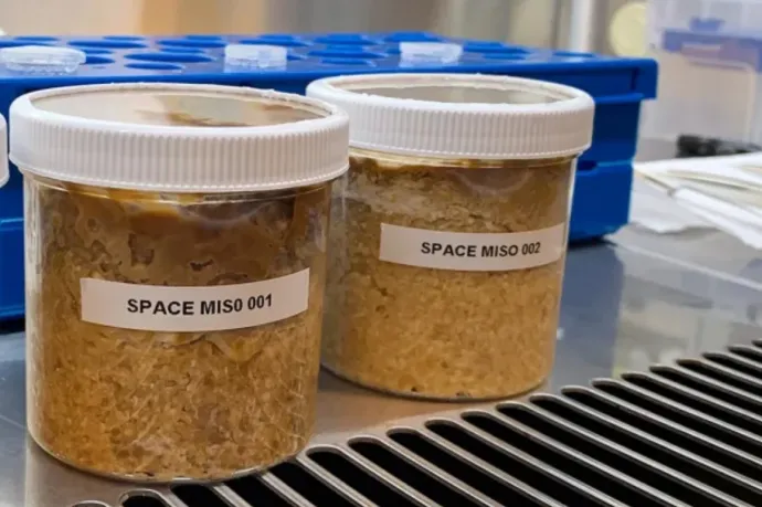 Miso pasztát készítettek az űrállomáson, és jobb lett, mint a földi