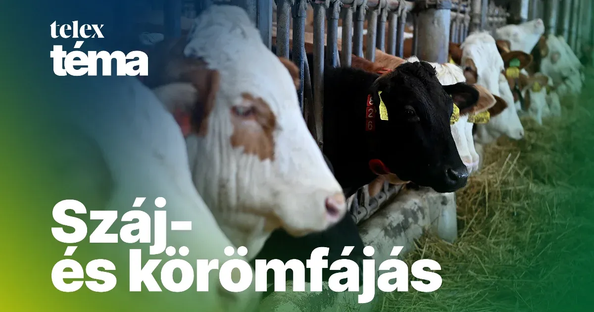Ez a vírus képes rá, hogy megfektesse a magyar gazdaságot