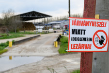 Eleve fogyatkozó magyar állatállományt kezdett el tizedelni a járvány