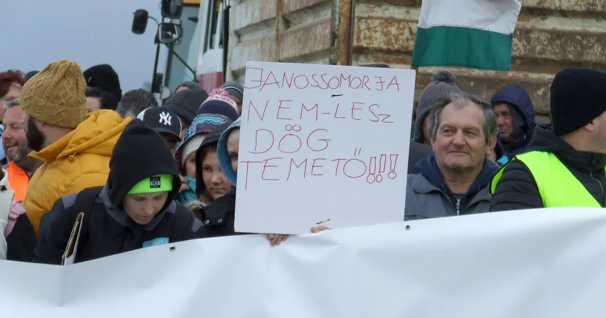 „Azt kéne csinálni, mint Jánossomorján!” – Bábolna a sajtóból tudta meg, hogy hozzájuk viszik a 3500 leölt marhát