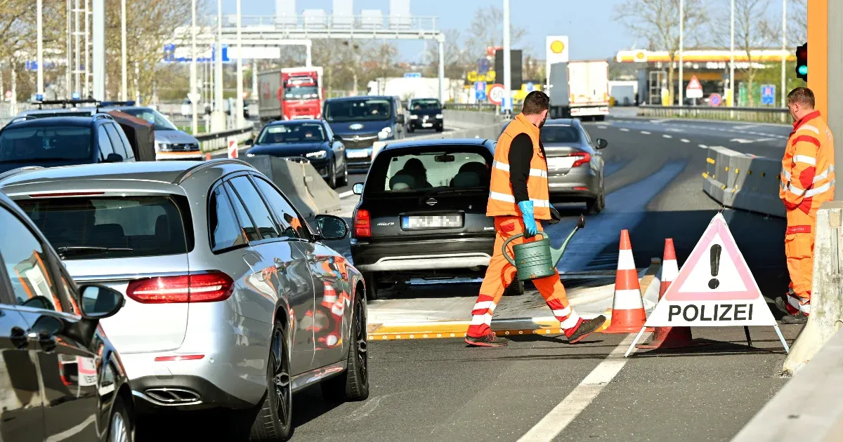 Száj- és körömfájás – az osztrákok úgy védekeznek, mintha már oda is betört volna a járvány
