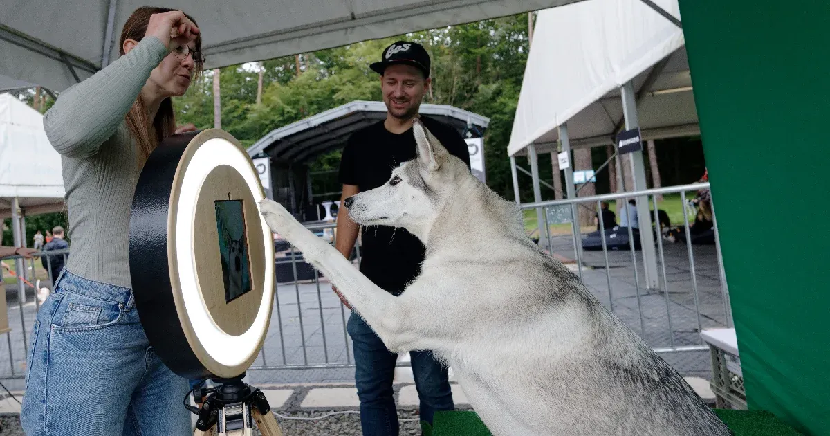 A háziállatok hatékonyabban befolyásolnak minket, mint az influenszerek