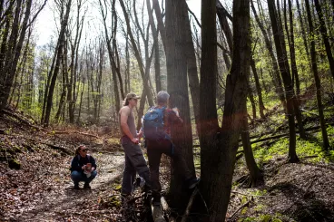 Új, vadregényes túraútvonal nyílt Budapest határában: felfestettük, leteszteltük