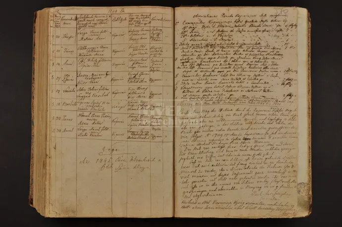A német nyelvű Rosnstingel-feljegyzés és hivatkozás a Vasárnapi Ujság Hany Istókról szóló 1855-ös cikkére – Forrás: Győri Egyházmegyei Gyűjteményi Központ Levéltára, Plébániai és espereskerületi levéltárak, Kapuvár Plébánia, Kereszteltek Anyakönyve V. 370.