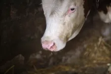 Nébih: Az ország összes állattartó telepén naplózni kell mostantól a ki- és belépő embereket, autókat